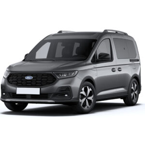 Ford Tourneo Connect TPMR Gris Graphite