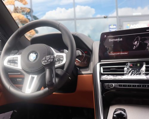Poignée télécommande SmartSteer volant BMW